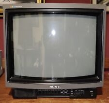 Monitor professionale vintage usato  Avellino