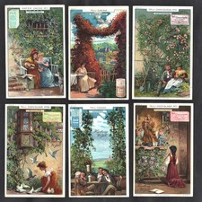 Climbing plants hartwig d'occasion  Expédié en Belgium