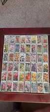 Garden flowers 1938 for sale  NOTTINGHAM