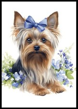 Yorkshire terrier cute d'occasion  Expédié en Belgium