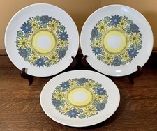 Lote de 3 Pratos de Jantar Vintage Meio Século Moderno Royal Ironstone ASTRA 10”: Flor comprar usado  Enviando para Brazil