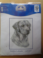 Dmc golden labrador for sale  TONBRIDGE