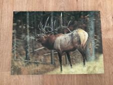 Leinwand holzbild hirsch gebraucht kaufen  Rostock