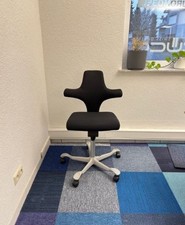 Hag capisco 8126 gebraucht kaufen  Wiesloch