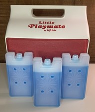 Video igloo cooler for sale  Alexandria