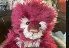 Charlie bears isabelle for sale  HULL