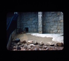 1957 Zoo Tiger Leopard Colorado Springs Transparência 35mm Slide comprar usado 1957 Zoo Tiger Leopard Colorado Springs Transparência 35mm Slide comprar usado  Enviando para Brazil