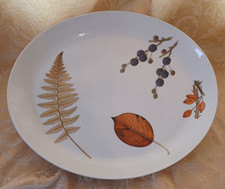 Royal worcester wild for sale  TEWKESBURY
