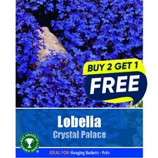 Flower seeds grow for sale  MANSFIELD