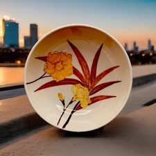 Ernestine salerno m.a.c. usato  Italia