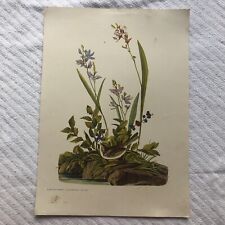 Vintage art print for sale  Highland