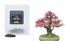 Japanese barberry bonsai for sale  HENLEY-IN-ARDEN
