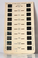 Carte stereoscope lestrade d'occasion  Aurillac