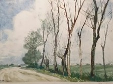 Litografia baldassini campagna usato  Rodano