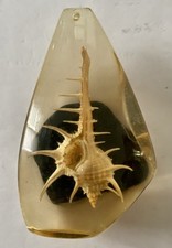 Joli pendentif coquillage d'occasion  Enghien-les-Bains