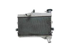 Radiatore acqua yamaha usato  Italia