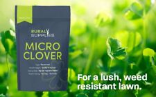 100 micro clover for sale  GOOLE