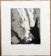 Nag arnoldi orso usato  Arcisate