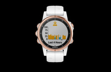 Garmin fenix plus for sale  Martinez