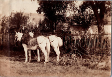 Farm horses vintage d'occasion  Expédié en Belgium