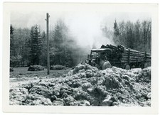 Austrian logging truck for sale  Deming