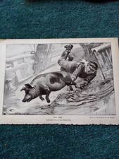 El28 ephemera 1897 for sale El28 ephemera 1897 for sale  LEICESTER