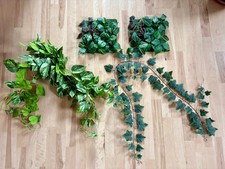 Set terrarium schöne gebraucht kaufen  Zwickau