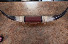 Mounted steer horns for sale  Brooksville