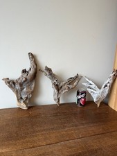 Driftwood stumpy root for sale  UK