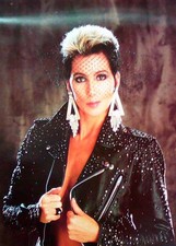 Cher poster starfoto gebraucht kaufen  Ahlen-Vorhelm