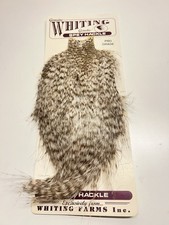 Whiting spey hackle gebraucht kaufen  Freyung