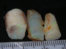 Nice fossil opal for sale  BLACKBURN