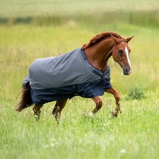 busse winterdecke gebraucht kaufen busse winterdecke gebraucht kaufen Salzwedel