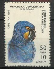 Giacinto ara anodorhynchus usato  Spedire a Italy