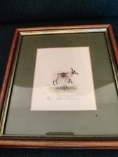 Print titled ewe for sale  MORECAMBE
