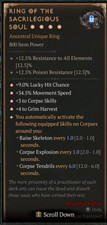 Diablo 4 💥 REINO ETERNO 💥 Ring of Sacrilegious Soul | 4GA Necromancer comprar usado  Enviando para Brazil