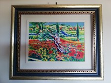 Serigrafia tela 25x35 usato  Roma