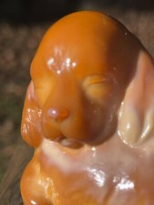 Fenton puppies two for sale  Charlotte