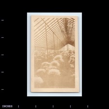 Vintage photo greenhouse for sale  Grass Valley