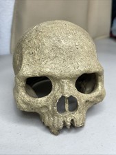 Aquarium resin skull for sale  Moreno Valley