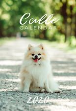 Calle kleinspitz kalender gebraucht kaufen  Eberdingen