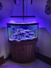 Gallon corner salt for sale  Cicero