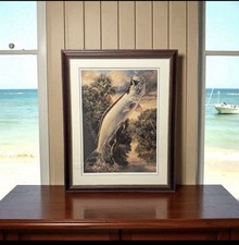 Diane rome peebles for sale  Jacksonville