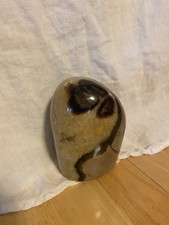 Natural septarian dragon for sale  Bristol