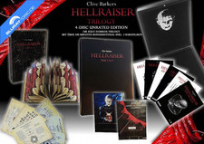 Hellraiser trilogy disc gebraucht kaufen  Waging a.See