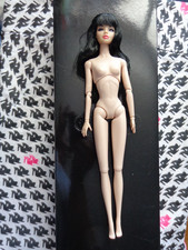 Sooki simply dynamite for sale  Imperial