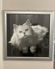 Quadro gatto bianco usato  Milano
