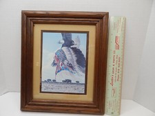 Native american framed for sale  Skiatook