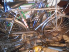 Biciclette adulti bambini usato  Tavernerio