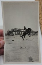 Vintage photo cowboy for sale  Shawmut